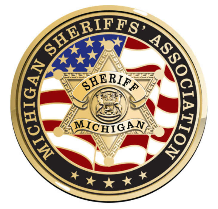 MSA Logo